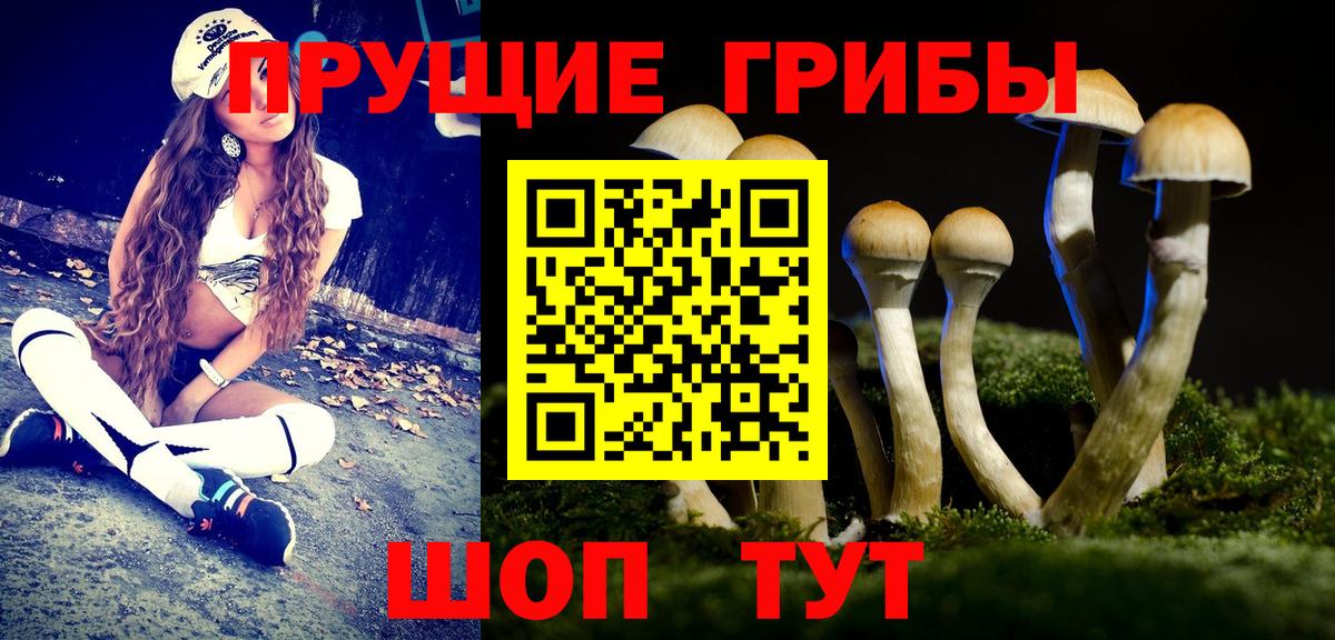 Нижневартовск  Галлюциногенные грибы Magic Shrooms  Вход с VPN 