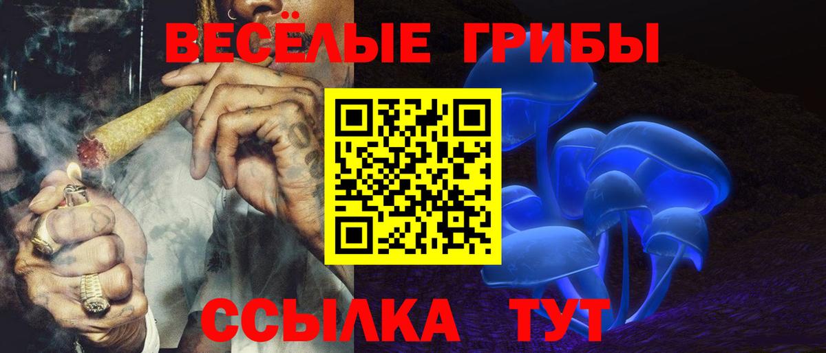 Псилоцибиновые грибы GOLDEN TEACHER Нижневартовск